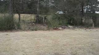 MVI_0379.avi