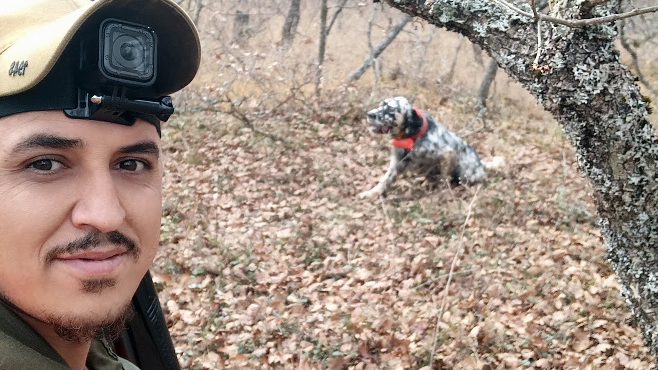 19/11/2022 Çulluk avı woodcock hunting Beccaccia снайперская охота ...