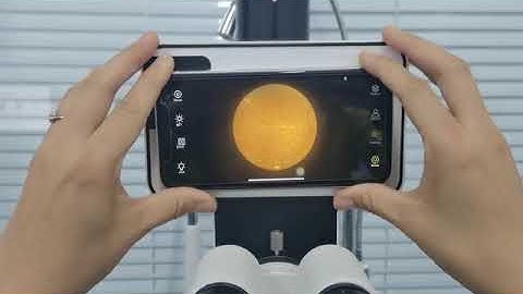 How to focus when you use Phonto Imaging module for slit lamps ?