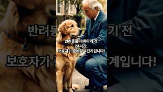 반려동물 이별 전 24시간 체크리스트 4단계