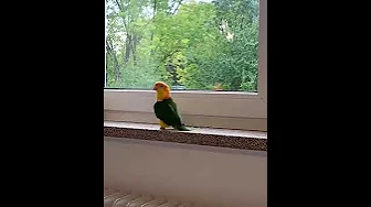 Bird March #meme #funny #memesdaily Bird March #meme #funny #memesdaily