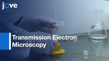 Membrane Interacting Proteins Visualization by TEM | Protocol Preview