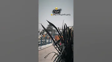 مجوز يلعن جمالك طير الشخصية ريمكس Remix اشتراك لايك 