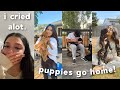 PUPPY GO HOME VLOG *EMOTIONAL*