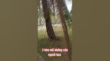 phát hiện 2 khu mộ khủng của người hoa tại hoa viên Bình Dương