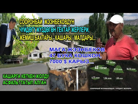 Video: Биринчи селма добуш берүү маршындабы?