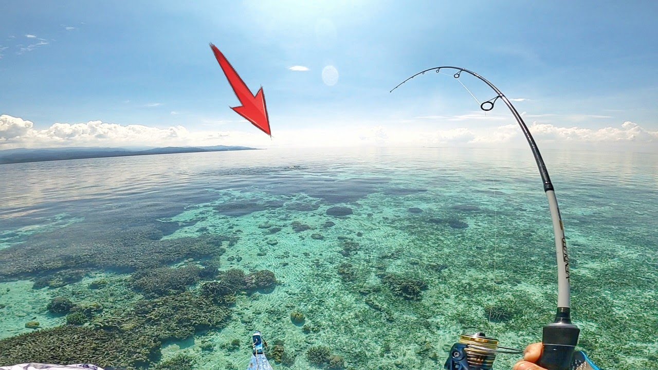 #1. BOLEH DI ADUU DENGAN SPOT DI PAPUA. SAMPAI BIKIN SAYA CAPEK STRIKE BOBARA ‼️