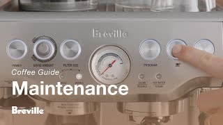 Barista Express Como realizar facilmente uma retrolavagem com agua limpa na sua 