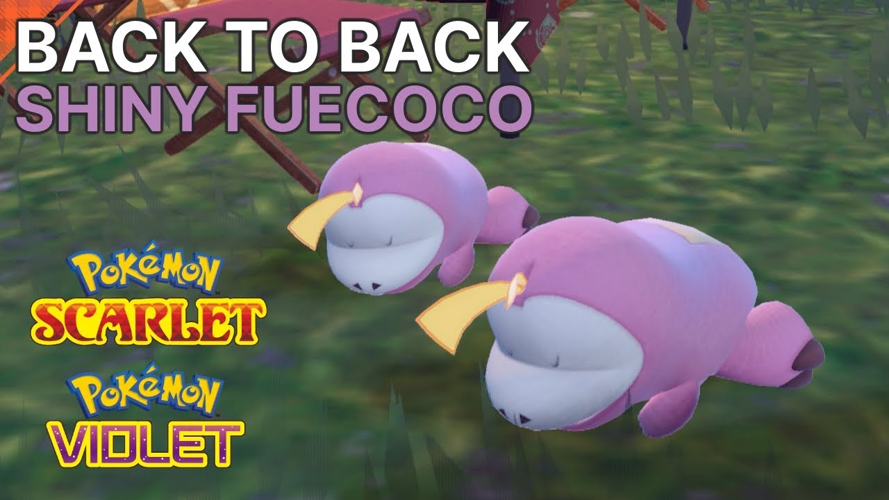 TWO Shiny Fuecoco Reaction BACK TO BACK In Pok mon Scarlet And Violet TWO Shiny Fuecoco Reaction BACK TO BACK In Pok mon Scarlet And Violet