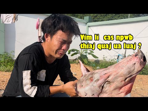 Video: Vim li cas battersea lom zem kaw?