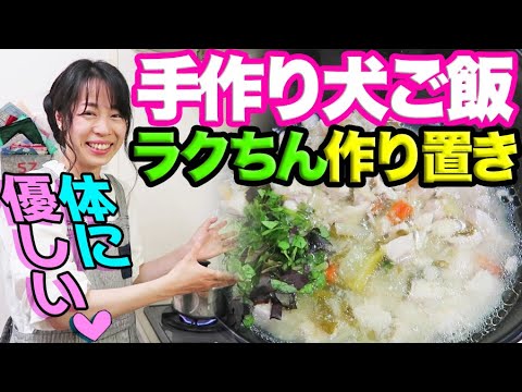 手作り犬ご飯歴３年。一番簡単で健康的な普段ご飯の作り方【インスタ映えなし】