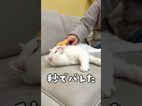 偽物の手、秒でバレた