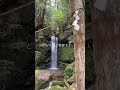 お祓い　浄化　一万人に一人しか見えません【瀧神社遠隔参拝】 #瀬織津姫 #運気上昇 #パワースポット #遠隔参拝 #スピリチュアル #金運上昇#瀧神社#運気アップ #岐阜県