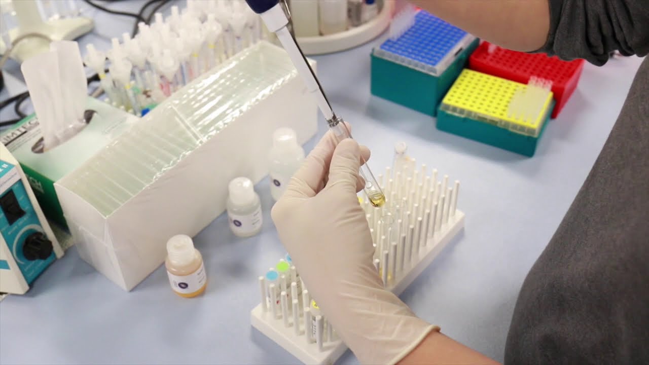 Sample Preparation - Arbor Assays - YouTube