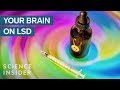 What LSD Does To The Human Brain