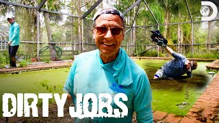 Mike Rowe Scrubs the Filthiest Pool in Florida | Dirty Jobs