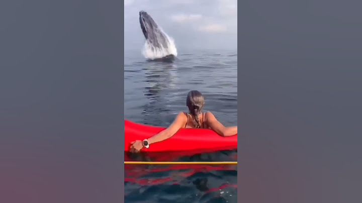 Whale Surprise women😱 #Shorts