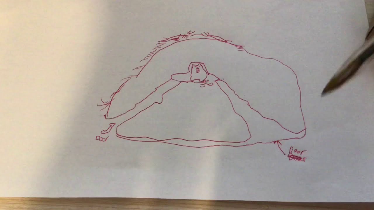 The secrets of a beaver lodge