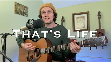 That's Life - Frank Sinatra (acoustic cover)