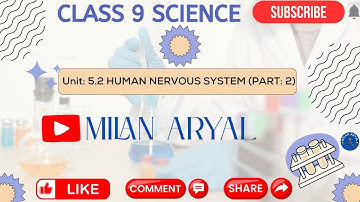 Class: 9 || Science || Unit: 5.2 || Human Nervous System || Part: 2