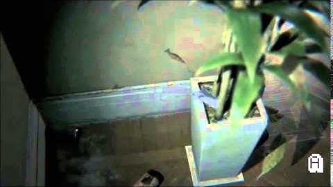 Silent Hills - PS4 - P.T - Gamescom Demo Part 1 - All Photo pieces - Walkthrough /Sneak Peak