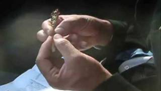How To Roll a Blunt - GDP - Kush - 420 Bay Area - Canni-bus Productions: