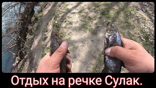 Рыбалка в Дагестане. Кутум и шамайка. Сулак. 09.04.2021.