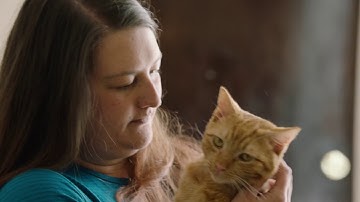 Comfort Zone Calming Diffusers for Cats - Jessaline and Hobbes Story