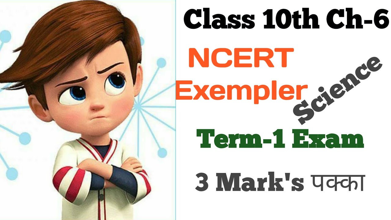 Very Important mcqs Science Class 10th | Term-1 | NCERT Exempler Chapter 6 | Board 2021