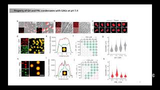 "Phase separation and instantaneous solid-state transition..... by Semanti Mukherjee