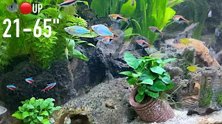 Greek Ruins Aquarium 🟥 SCREENSAVER 4K 400 Fishes | NO MUSIC 6 HOURS | 🟥 RELAXING #RELAX