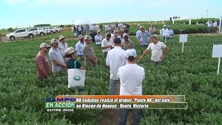 "Punto NK" en Rincón de Nogoyá - Francisco Pérez Brea