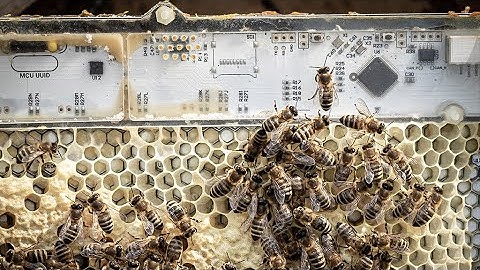 Concours FNS d’images scientifiques 2023 – catégorie 3: gagnant lieux et outils de la recherche