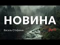 Василь Стефаник — Новина (аудіокнига)