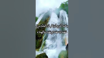 #سورة_الاعراف #قران_كريم #قرآن#قران #تلاوة_خاشعة#تسبيح#اكسبلور#اكسبلور#اكسبلور_فولو#قرآن