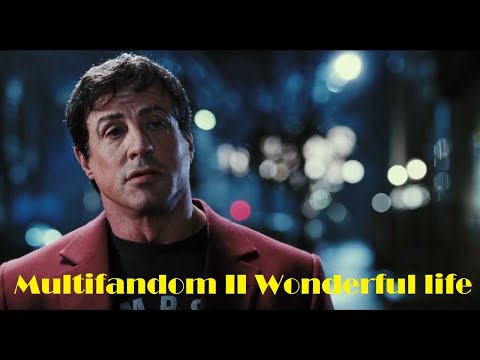 Multifandom II Wonderful life