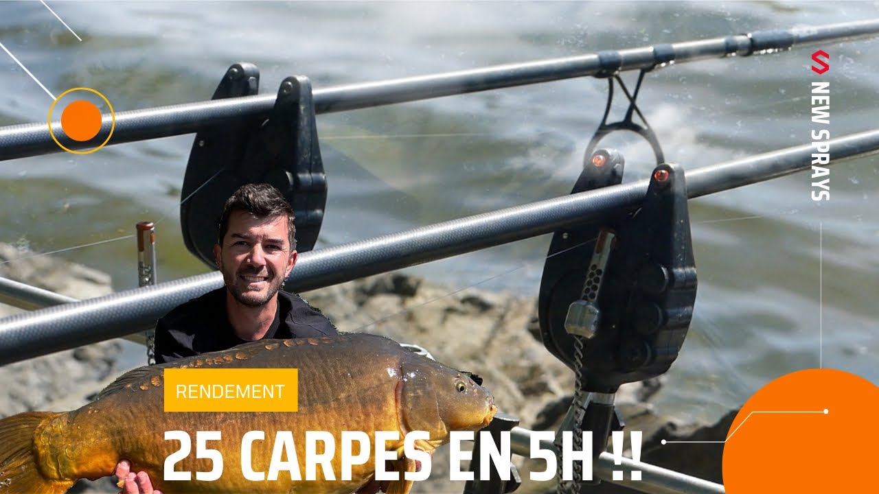 J’utilise un NOUVEAU spray ! // Pêche de la carpe 2024