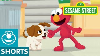 Sesame Street: Introducing Tango! | #FurryFriendsForever