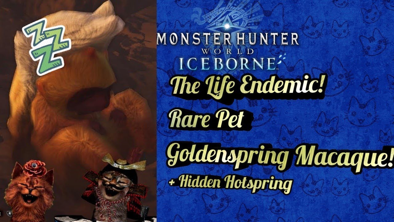 MHW Iceborne How to get Goldspring Macaque! Rare Endemic ...