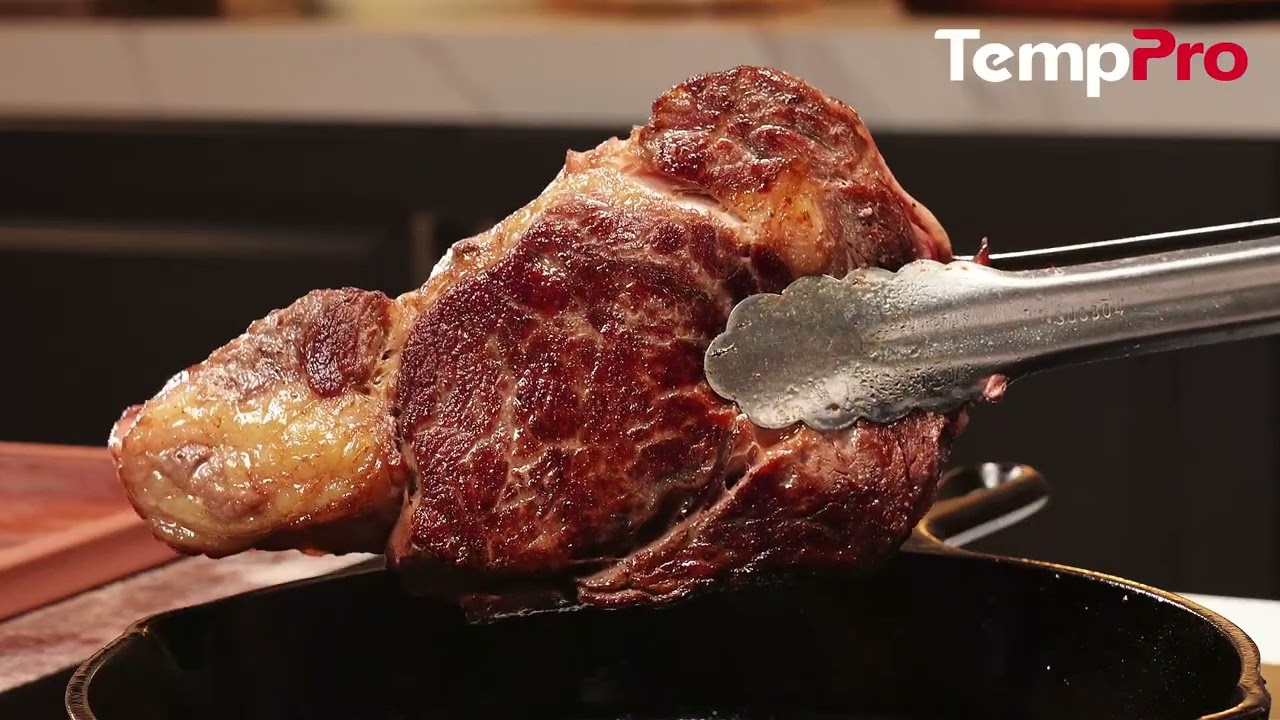 TempPro Twin TempSpike Plus TP972 Smart Wireless Meat Thermometer — Dual Probe, Long-Range Bluetooth