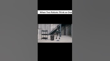 When Two Robots Think as One