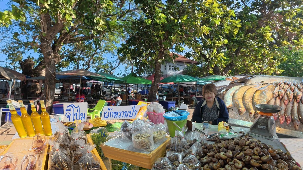 อาหารป่าริมโขง ลานดอกจาน ตลาดวันจันทร์ อำเภอเขมราฐ อุบลราชธานี