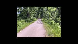 A Quiet Pass on the Towpath | Cuyahoga Valley Towpath