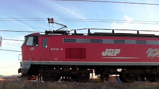 レッドサンダーEF510-6牽引高速貨物3097ﾚ　岡山→吹田→新潟