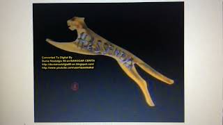 Iklan Hassendakaset U0026 Cd Hit Bank 19951997