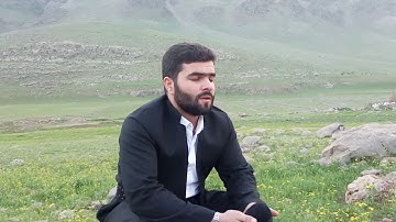 سورة البروج كاملة -بيشةوا قادر الكردى