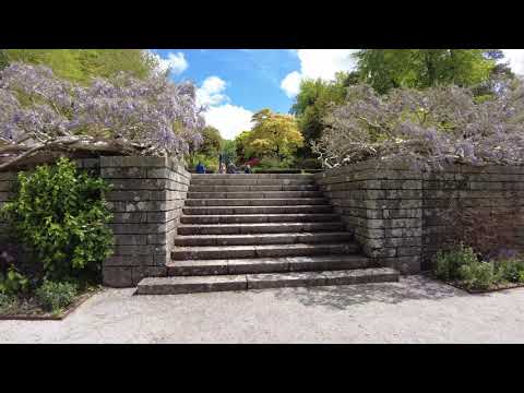 Walking Around Castle Drogo Gardens at Rhododendron Time