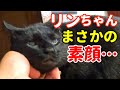【リンちゃんが見せた"意外な一面”】@taipi 【切り抜き】