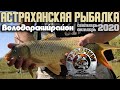 Рыбалка в Астрахани на сазана. Володарский район. Астрахань. Осень 2020.