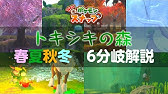 Newポケモンスナップ キュウコン 揺らめく炎 サーナイト 冬景色の魔法 ポケスナ Switch Youtube